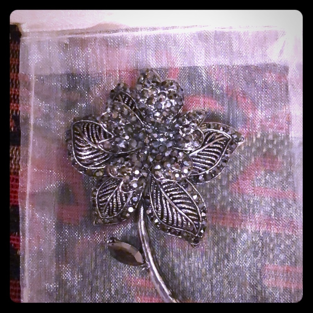 Amazing brooch ! ❤️❤️